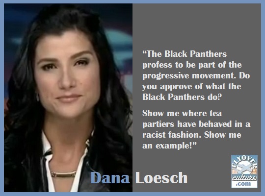 Dana Loesch ~ Tea Party